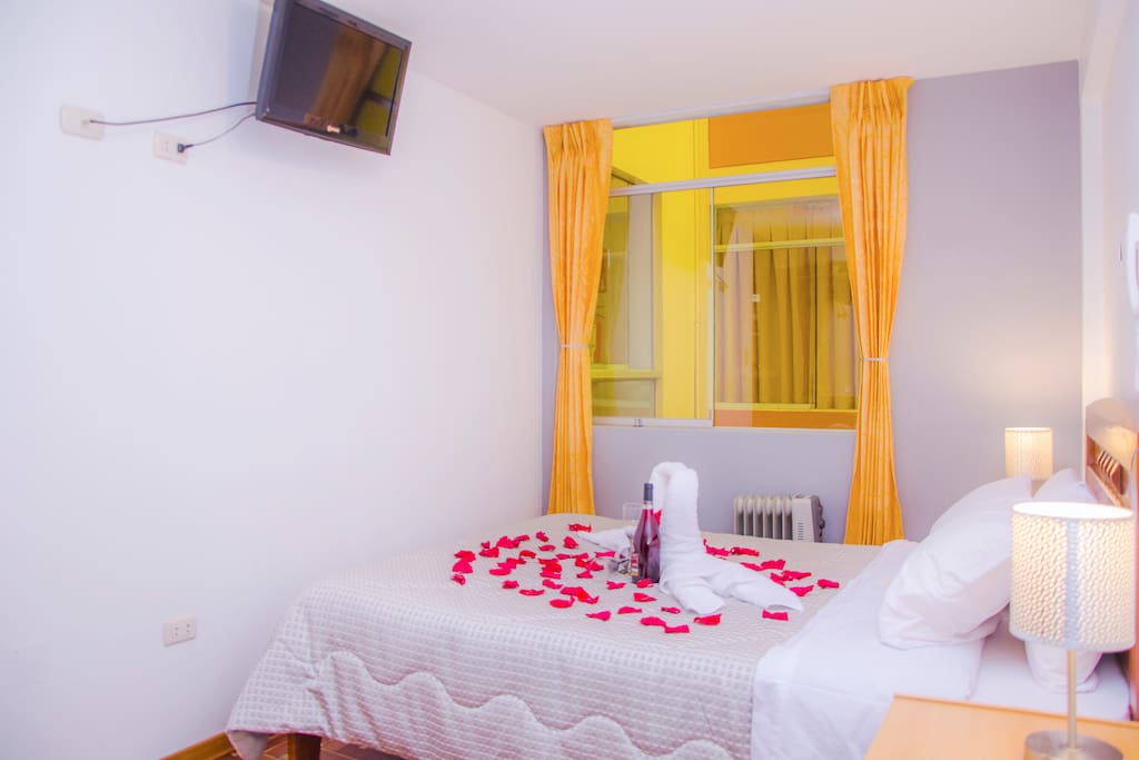 Habitación Matrimonial con baño privado cama de 2 plazas ,Calefacción,wifi,tv cable,Rooms Service .Una experiencia unica