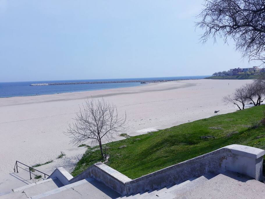 The Beach behind the building