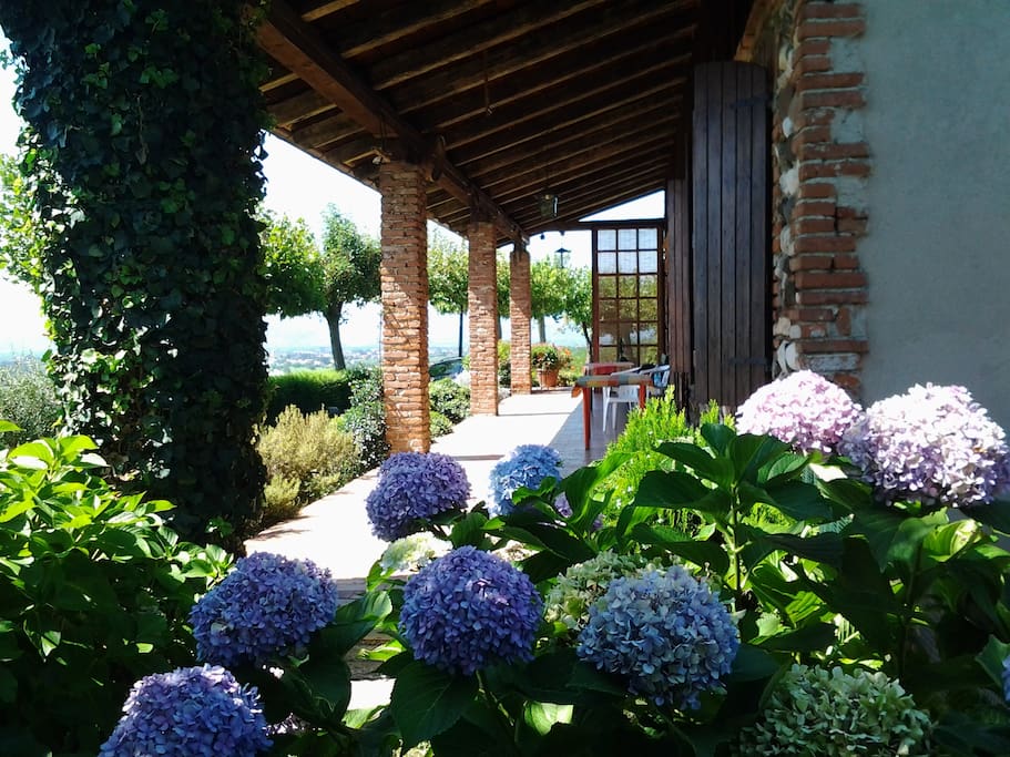 The patio