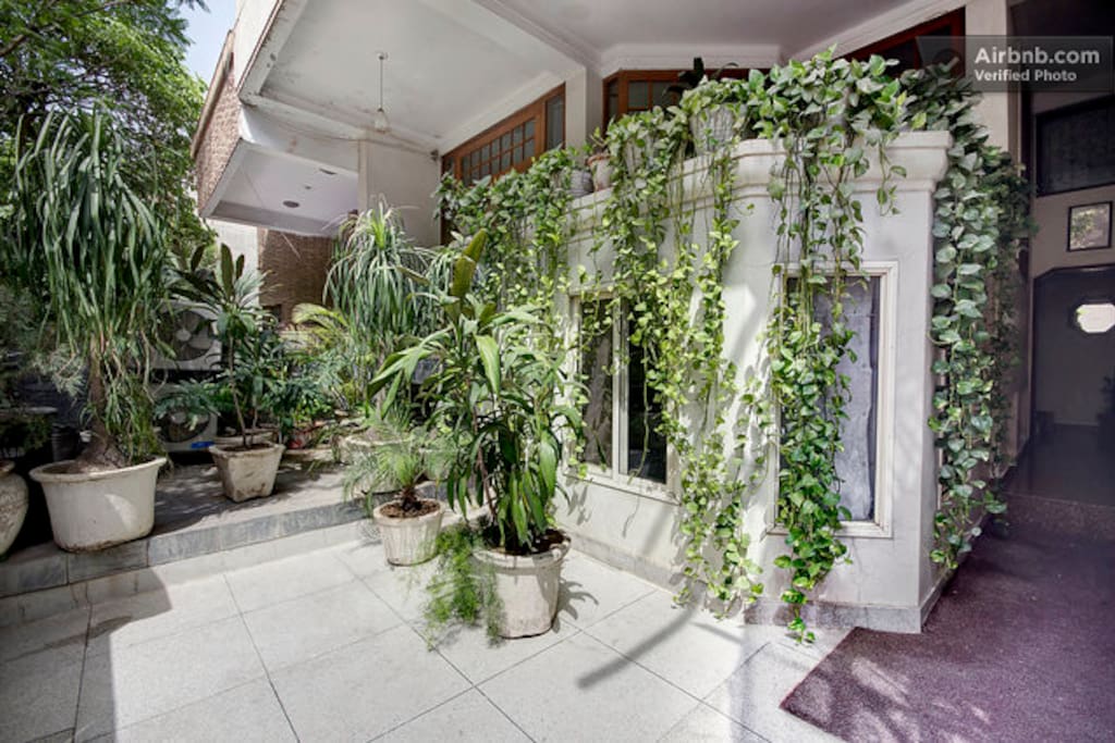 Green plants at the entrance of the building break the monotony of the concrete structures around