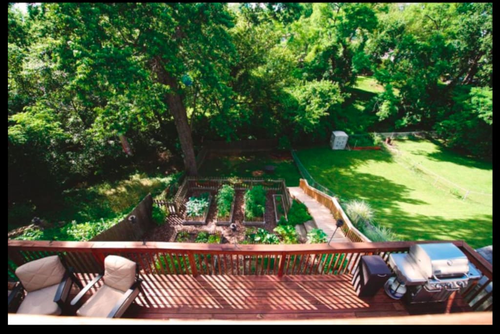 Fenced in backyard