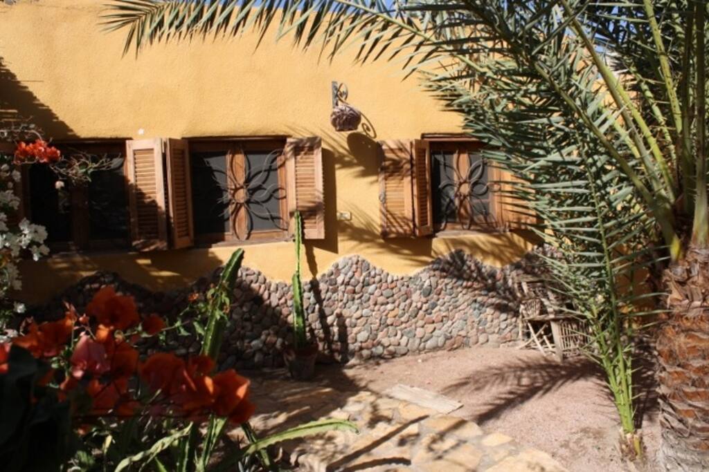 Garden 1