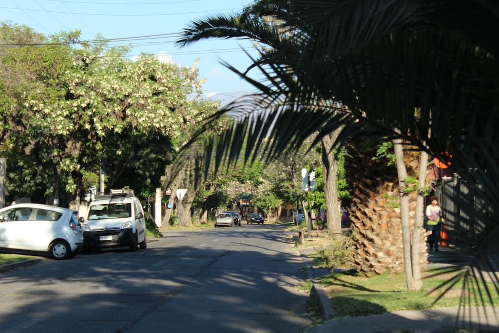 Calle Real Audiencia
