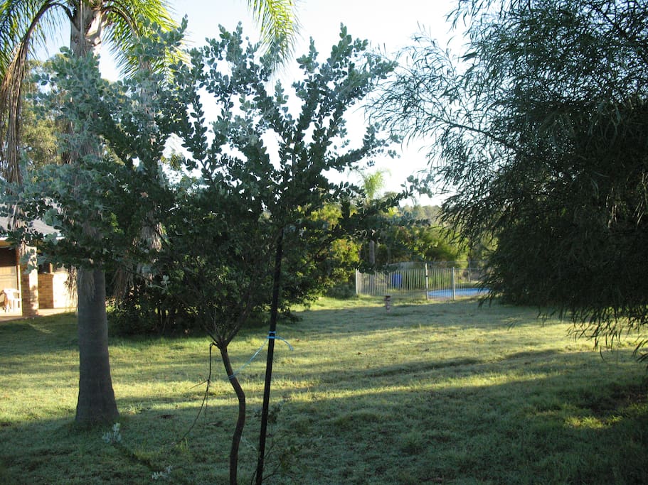 House to the LHS, frog pond to the right