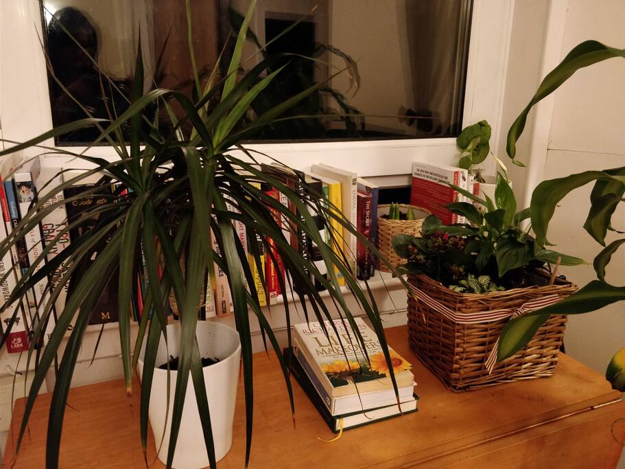 We have a collection of books, if you fancy a quiet night in...