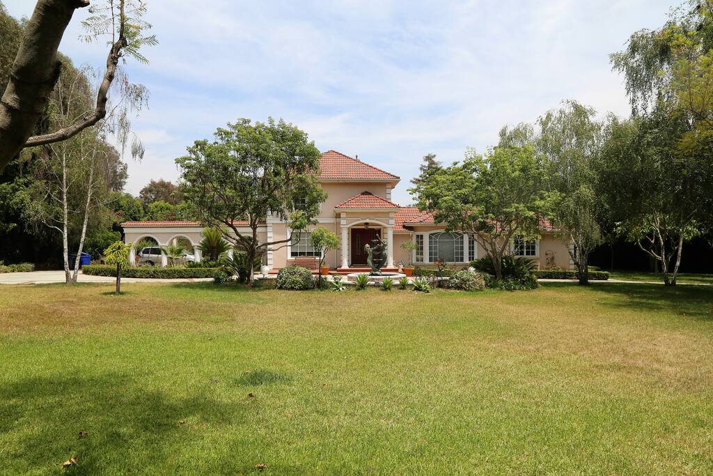 House Front Look