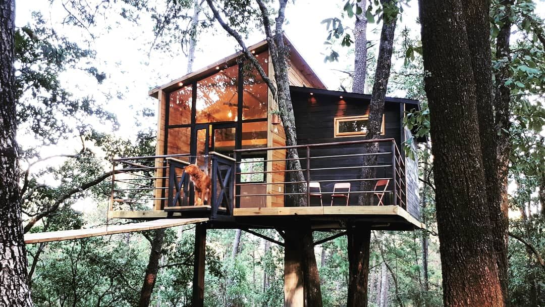 A treehouse cabin is elevated among the trees, featuring large windows that invite natural light. A wooden balcony extends from the structure, with a railing visible. The entrance is highlighted by a small staircase leading to the door, enhancing the sense of immersion in the forest.
