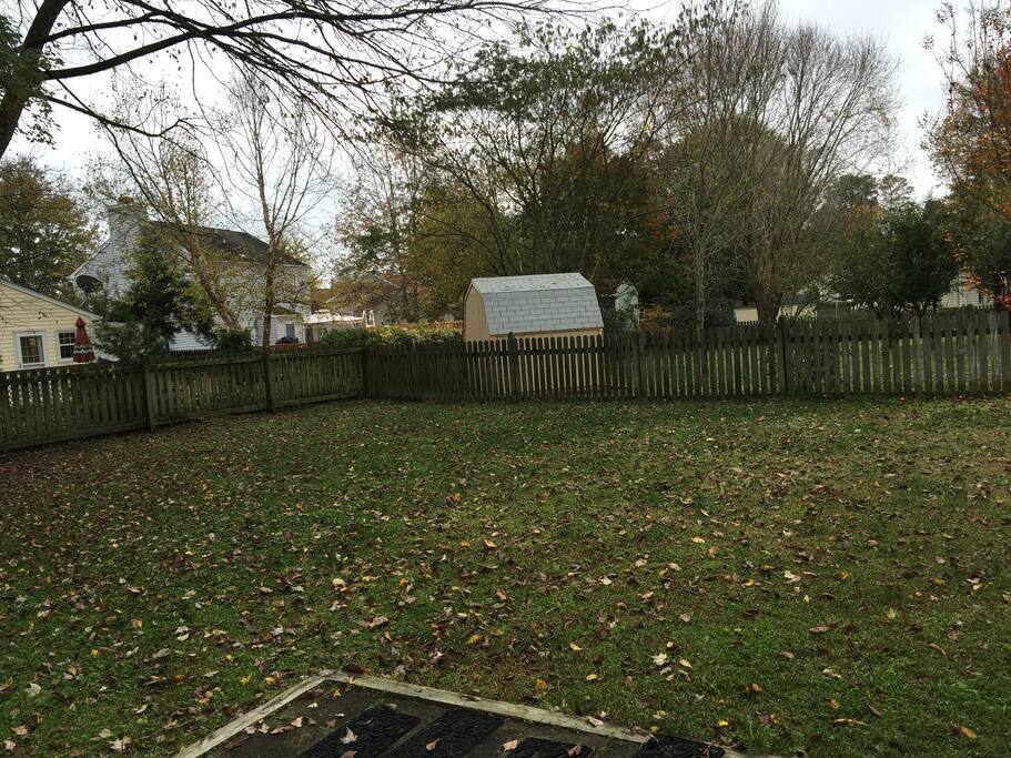 the large fenced in yard. lovely, mellow neighbors