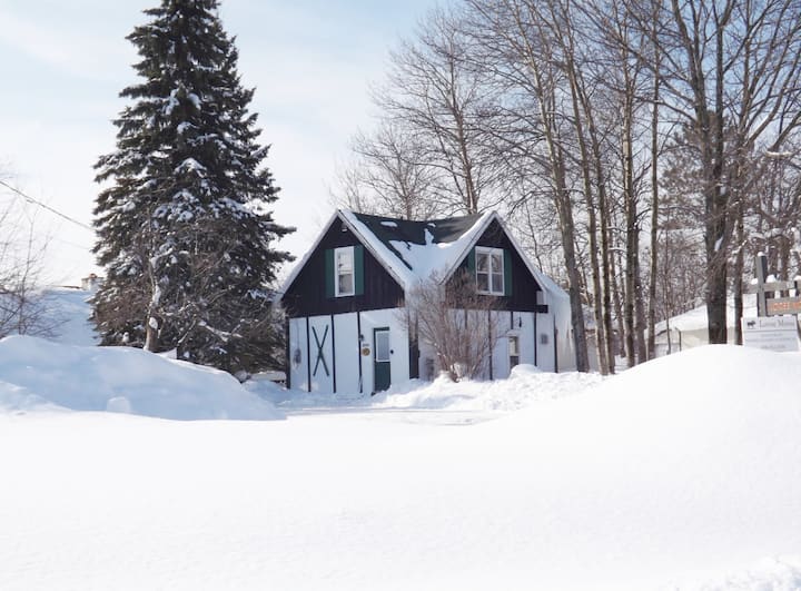 LOOSE MOOSE LODGE at Big Powderhorn Mountain Chalets for Rent in