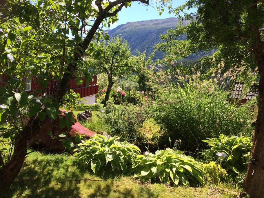 View from the main residence