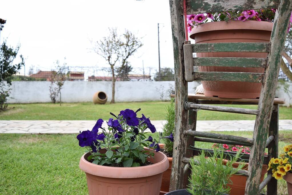 garden