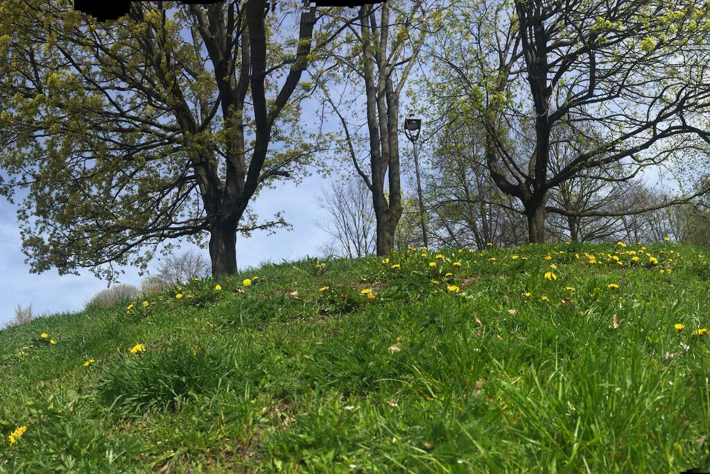 "Tøyenparken" is the closest park, about 3-5 min walk.