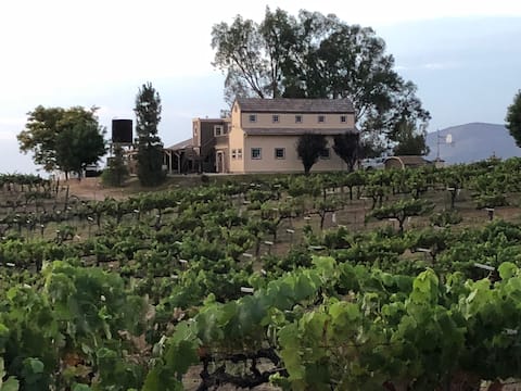 Temecula Wine Country Home on 5 Acre Vineyard