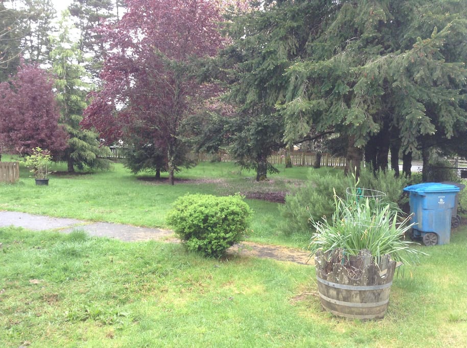 All of Our Beautiful Trees
