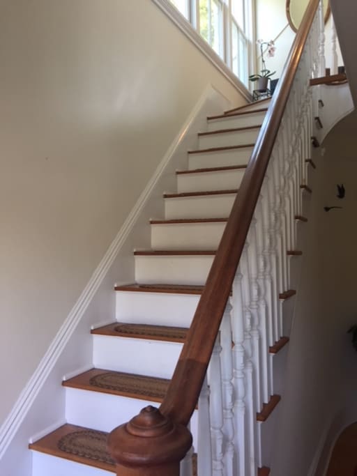 Front stairs going up to guest suite