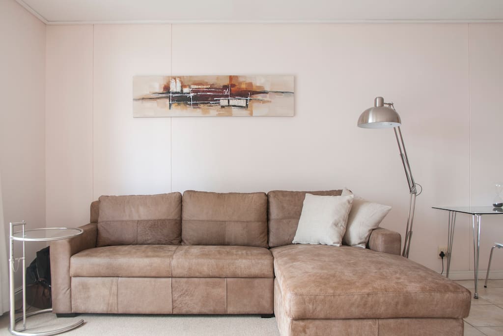Comfortable leather couch with daybed