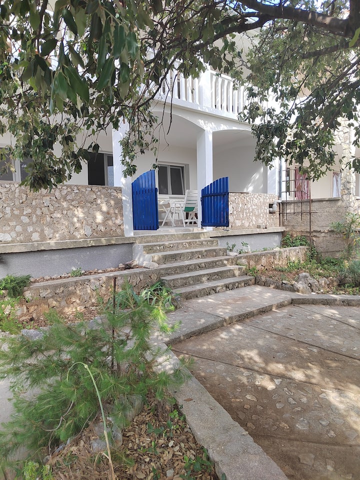 Apartment Joso SILBA above best beach of Adriatic