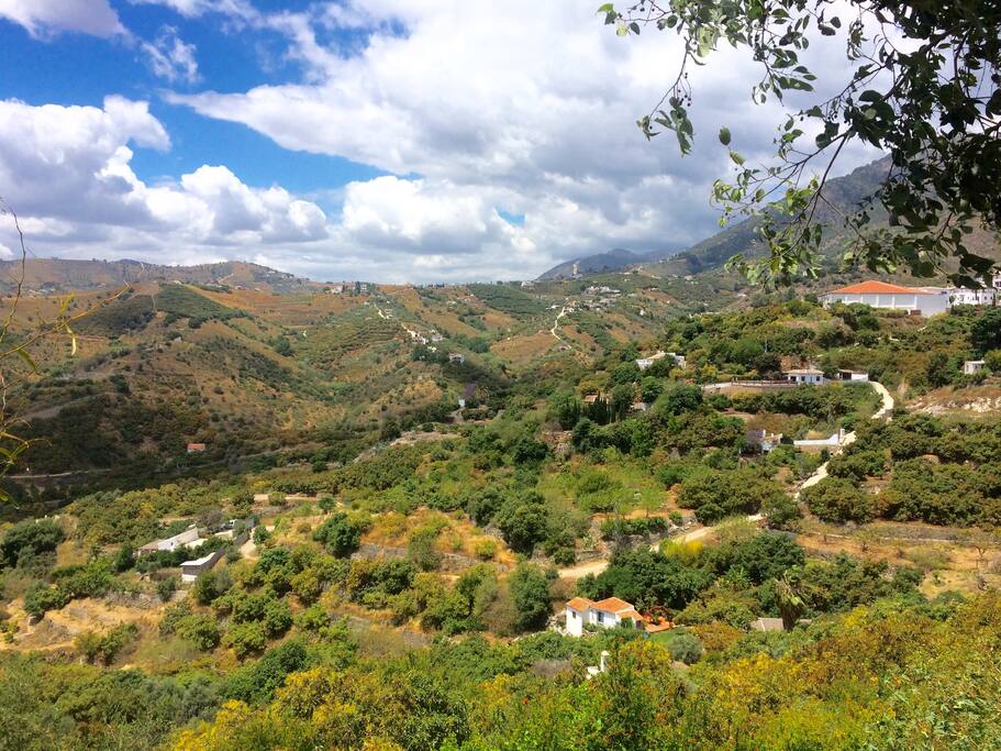 Paysage autour de la maison