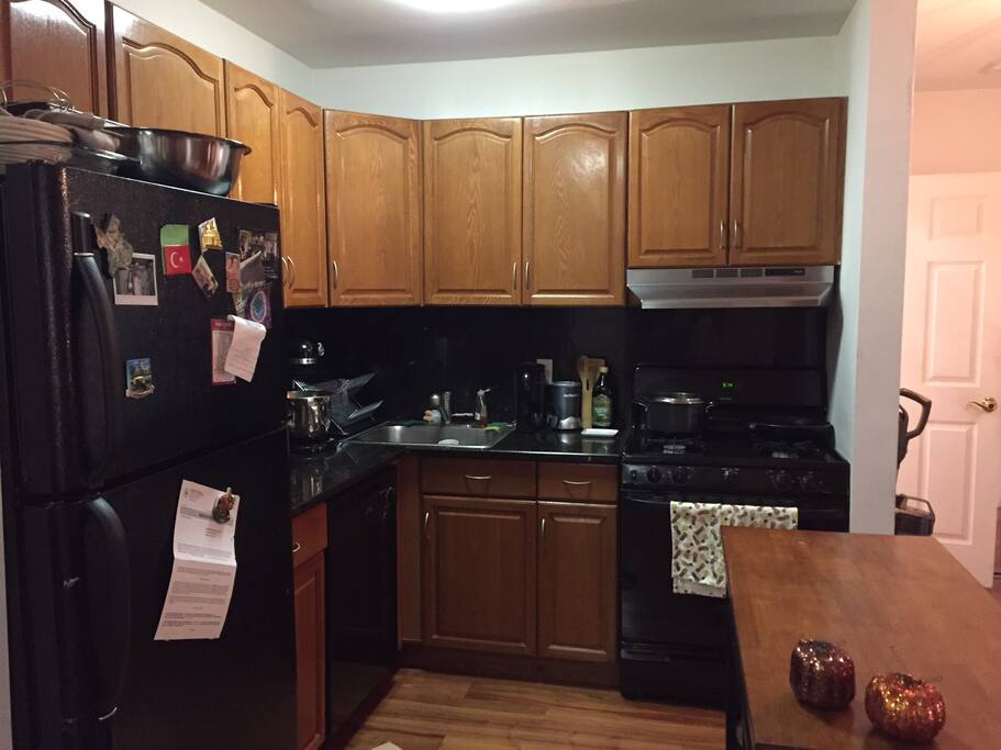 The kitchen + dishwasher