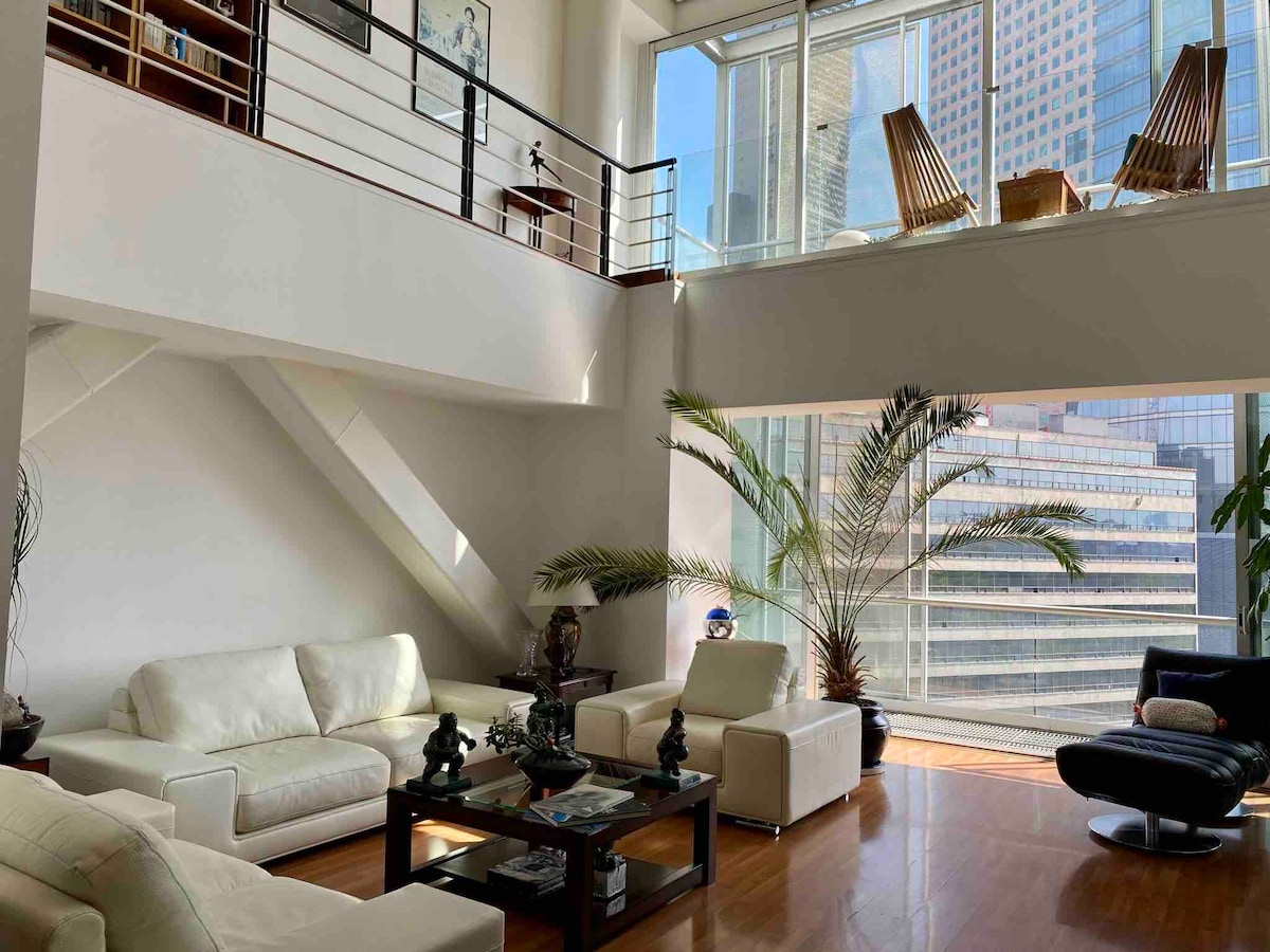 Top Airbnb: Great view, big space, best location in MexicoCity in Anzures