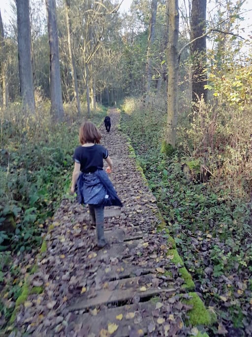 Bos op wandelafstand