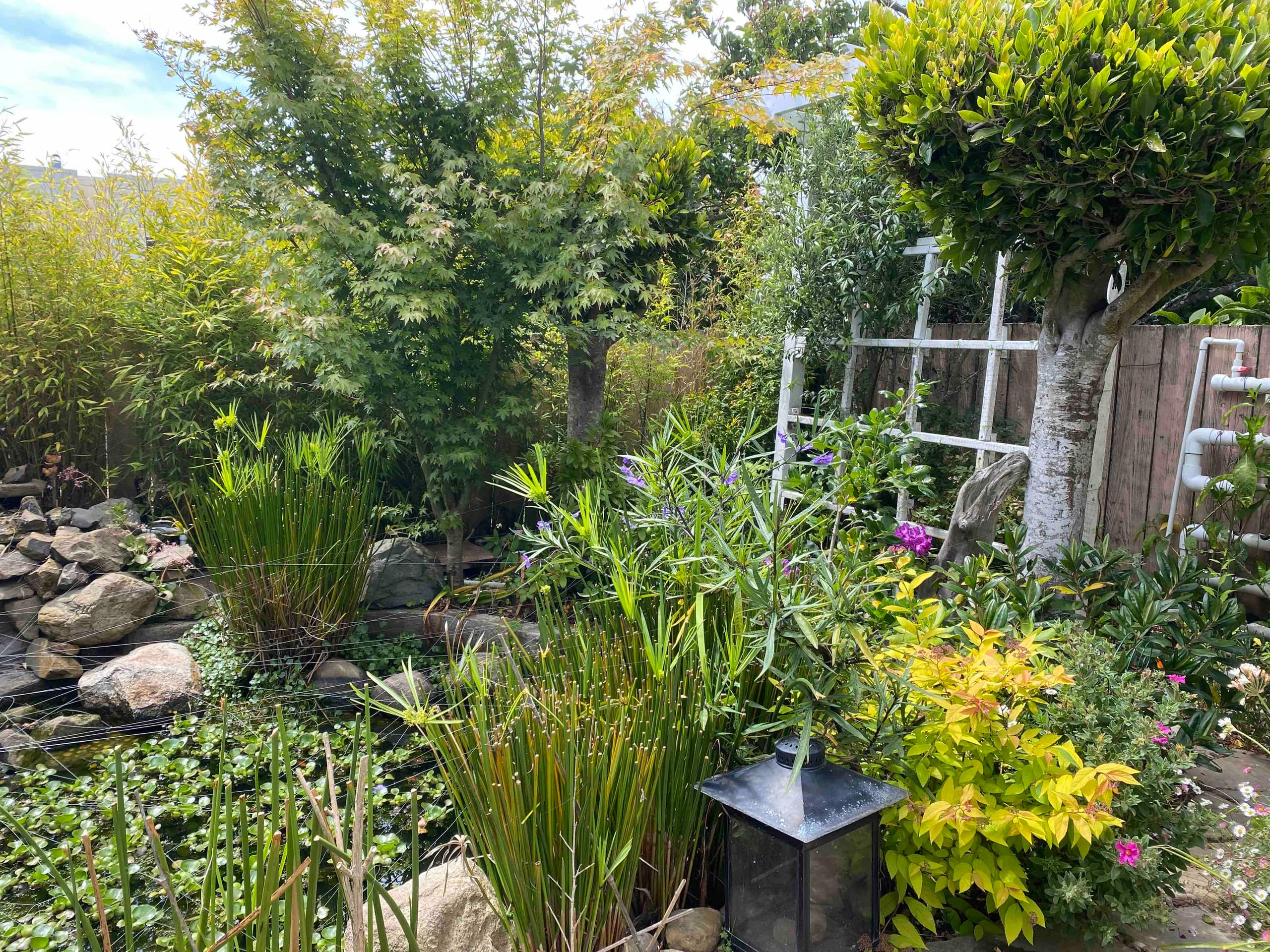 Home in San Francisco · ★4.85 · 2 bedrooms · 3 beds · 2 baths - Image 27