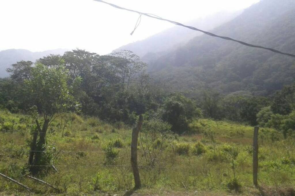 Vista desde el patio trasero