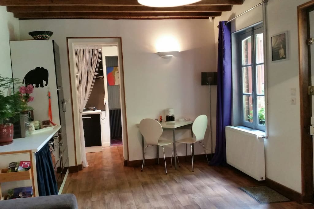 Votre salon , coin repas (table 4/6pers) et kitchenette au fond.
