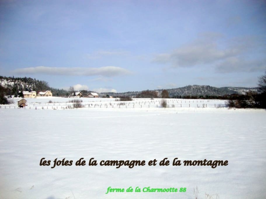 vue sur la ligne bleue des Vosges