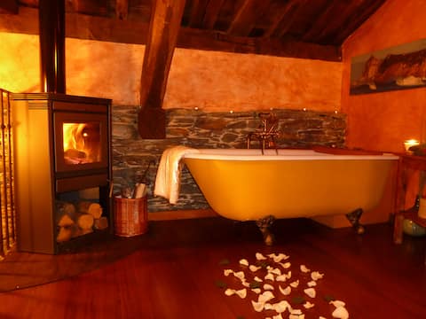 Duplex apartment with fireplace Ferro