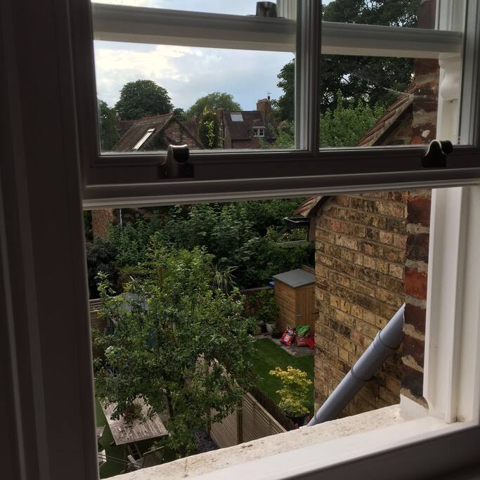 View to garden