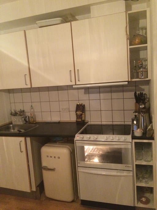 Fridge, Owen, Stove and Dishwasher.