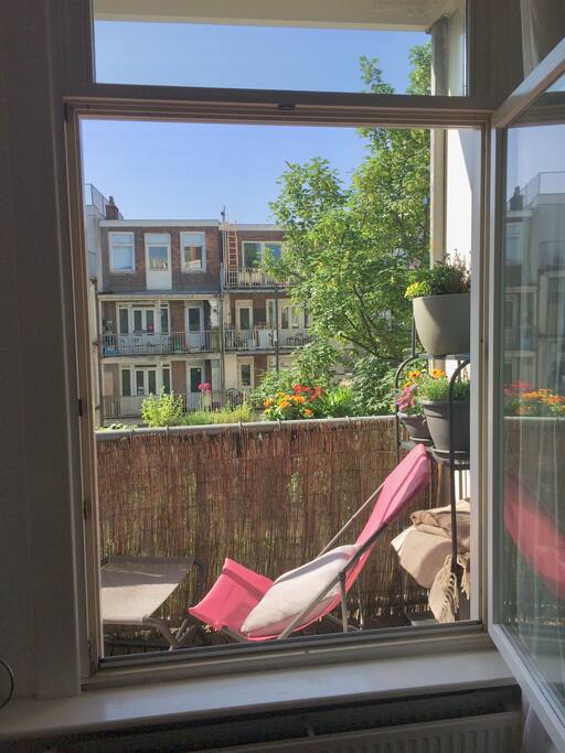 South-facing balcony gets sun all day