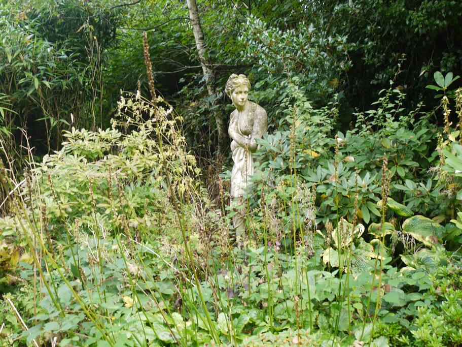Every plant in the garden has been p[lanted by ourselves