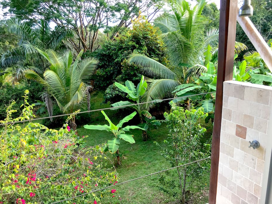 garden view from your outdoor shower