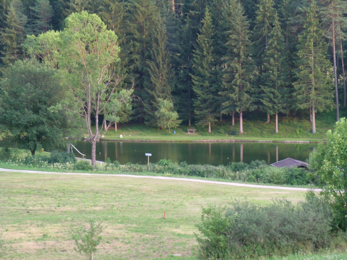 A serene natural swimming lake is framed by tall trees and lush greenery. The calm water reflects the surrounding forest, providing a peaceful contrast to the grassy areas in the foreground. A small structure can be seen along the shoreline, enhancing the tranquil setting.
