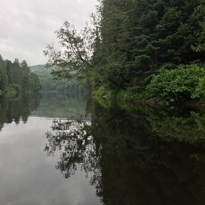 Reflexions of zen - Rouge River canoe shot