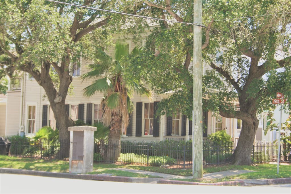 Side View