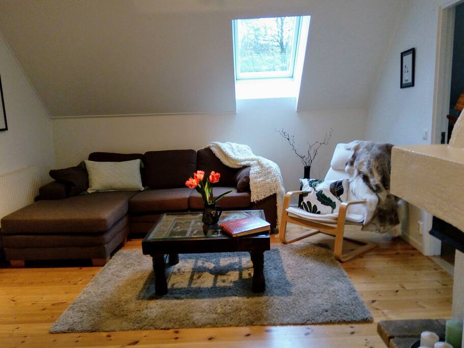 vardagsrum för gäster enbart med Tv, Netlix