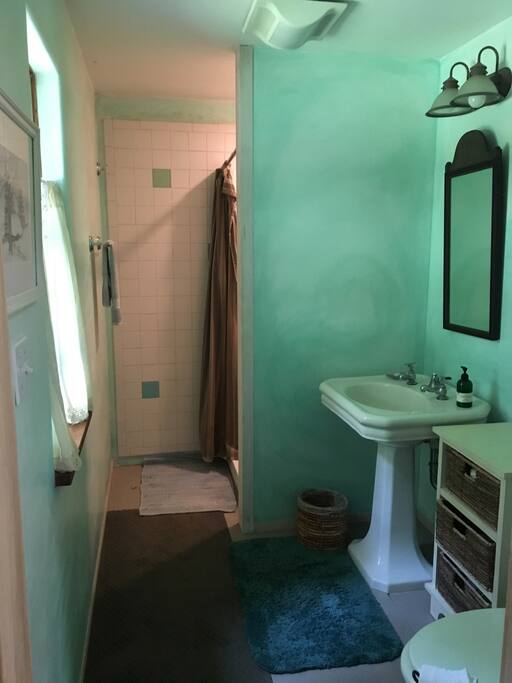 private bathroom with shower