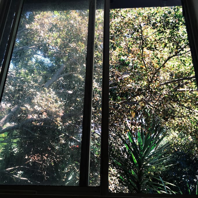 Your second window - backs onto the lush garden.
