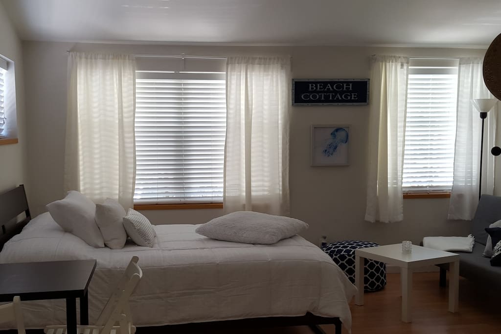 a Partial view of the Studio. A sofa bed is placed in the living area.