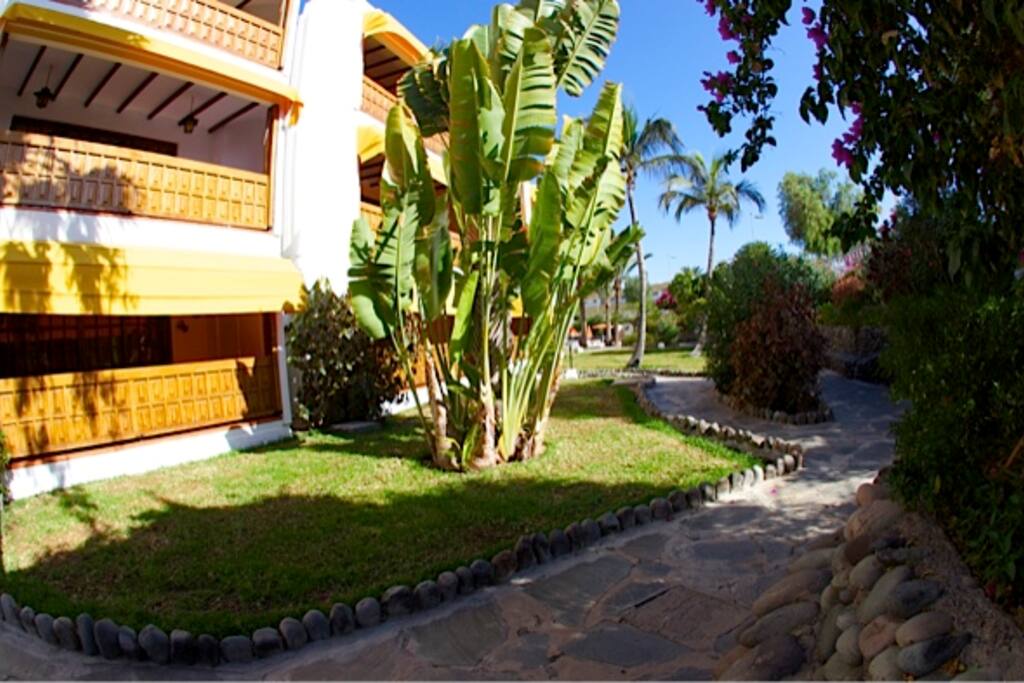 Alrededores del apartamento