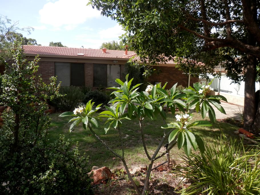 Spacious back garden