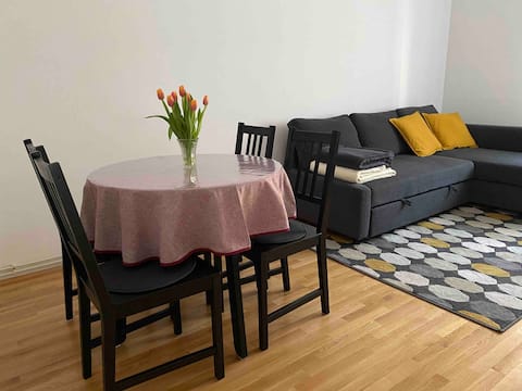 Successful Airbnb property: B&M Apartment in Črnomerec