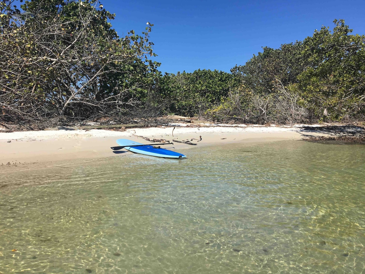A serene beach scene is depicted, featuring a shallow, clear water area with a sandy shore. A blue kayak rests peacefully on the sand, surrounded by lush greenery and mangroves. The clear sky adds to the tranquil atmosphere of the natural setting.