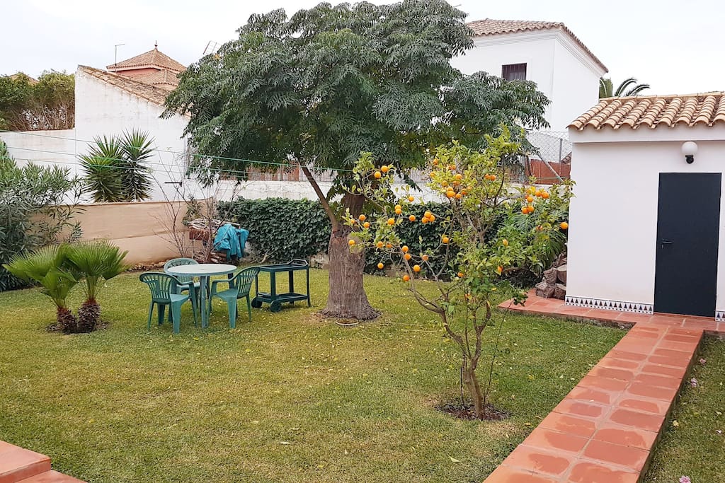 Back Garden