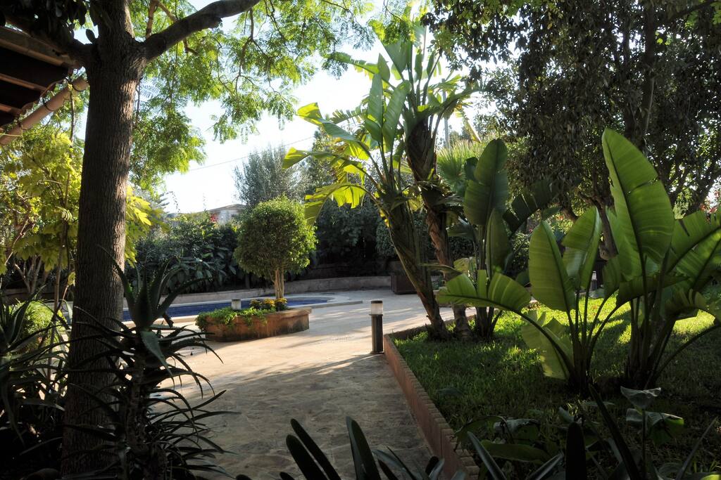 Zona ajardina
