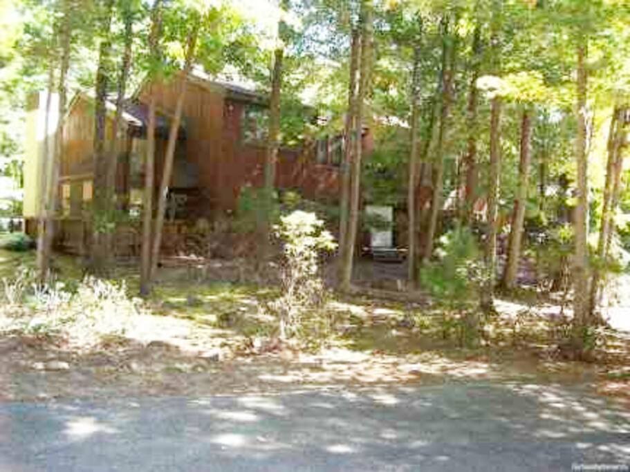 Front View