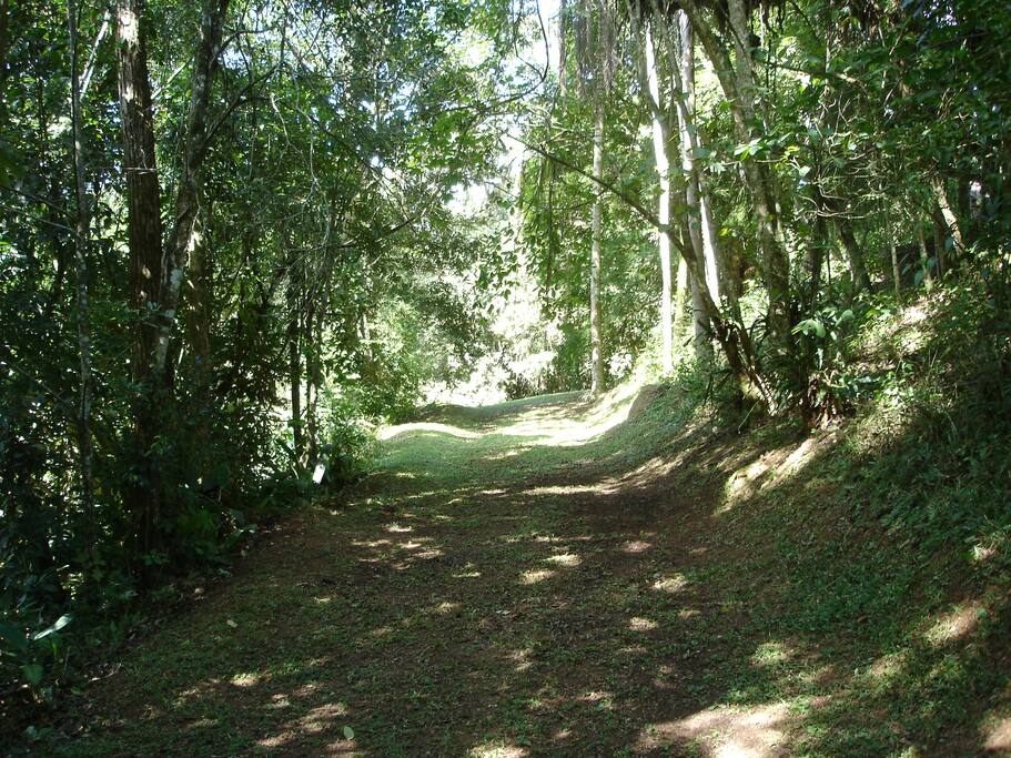 Trilha para caminhada